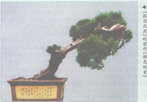 对胡乐国大师的盆景《孤岗风烈》3个看法 图片