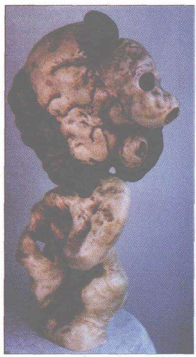 根艺《熊猫》怎么制作的 图片