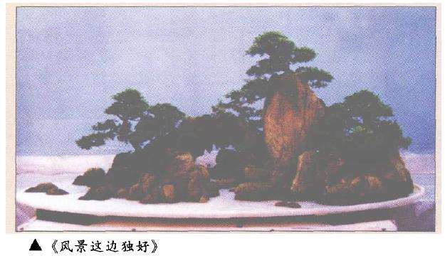 盆景作品《风景这边独好》的3个可补遗之处