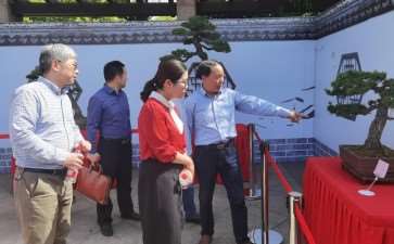 余姚市盆景研究会