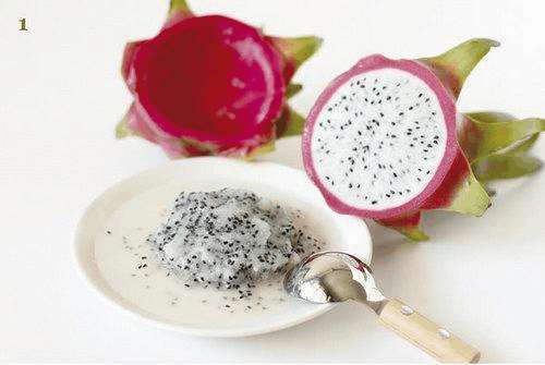 火龙果DIY盆景的详细教程 图片