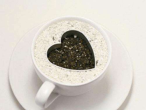 火龙果DIY盆景的详细教程 图片