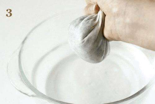 火龙果DIY盆景的详细教程 图片