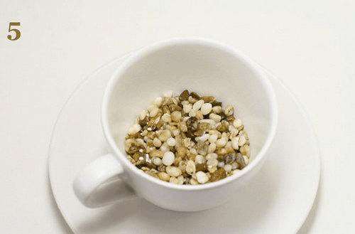 火龙果DIY盆景的详细教程 图片