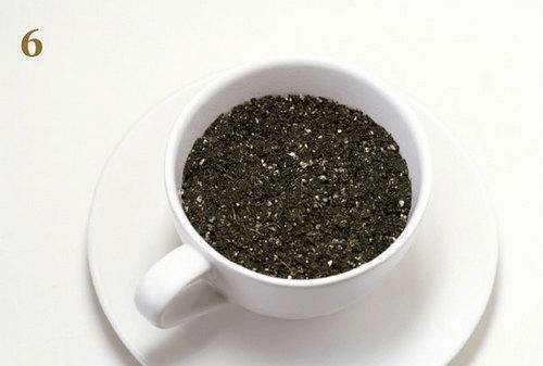 火龙果DIY盆景的详细教程 图片