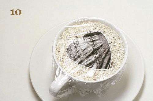 火龙果DIY盆景的详细教程 图片