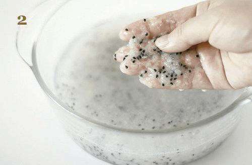 火龙果DIY盆景的详细教程 图片