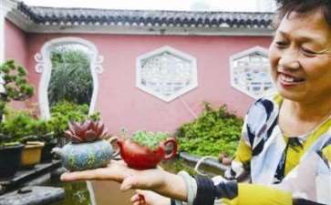 紫砂壶微盆景价格在300-3000元