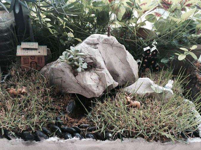 30年 老苏州草根手艺自制24盆盆景