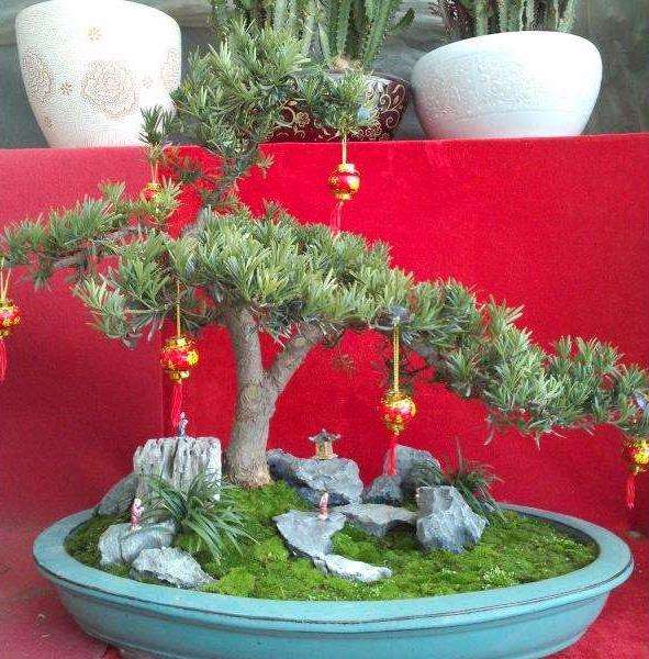 盆景企业经营风险的7个防患与控制