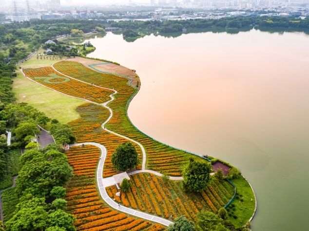 海珠湿地垛基果林分区怎么养护的3个管理建议