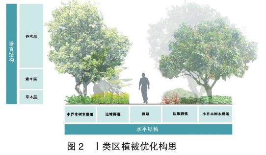 海珠湿地垛基果林分区怎么植被优化的3个构思