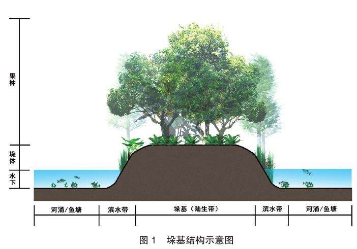 海珠湿地树木健康等级评价与果林优化分区