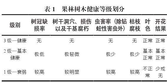 海珠湿地树木健康等级评价与果林优化分区