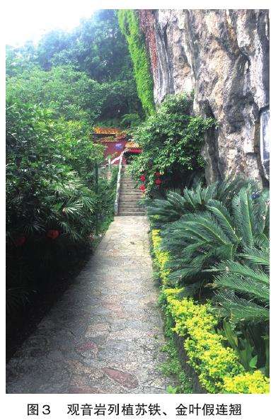 桂林市寺庙园林植物的3个应用探究
