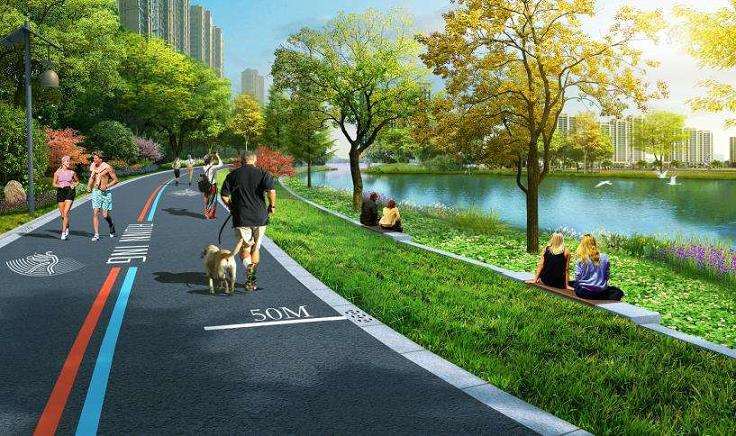 城市公园滨水植物空间结构的3个设计