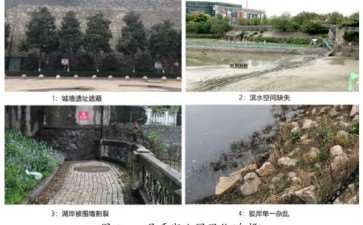 城市触媒理论在城市滨水空间保护与更新中的转译