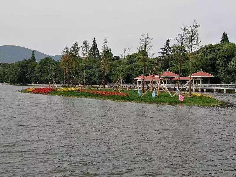 城市触媒理论下的南京市月牙湖滨水空间更新策略
