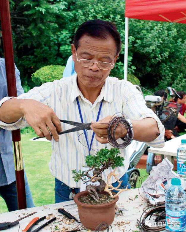上海市盆景赏石协会技术顾问 王元康