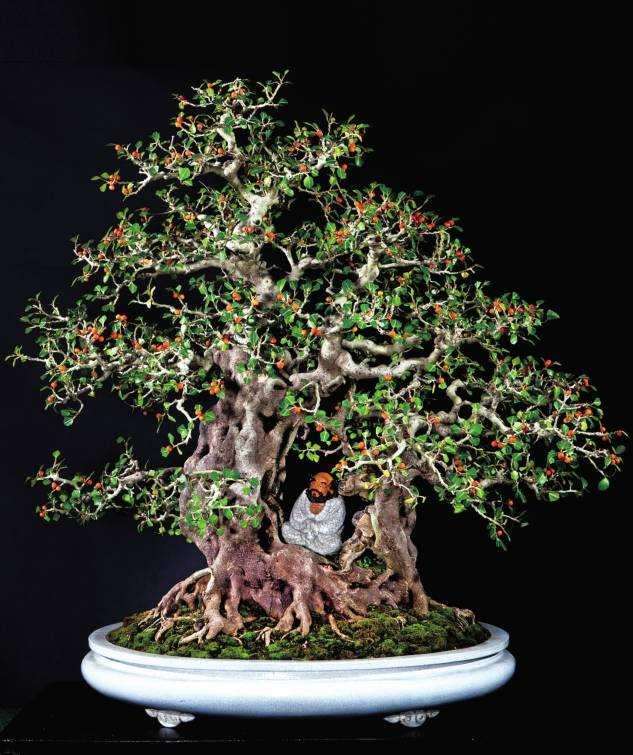 中国盆景美学观与一画论美学观相统一