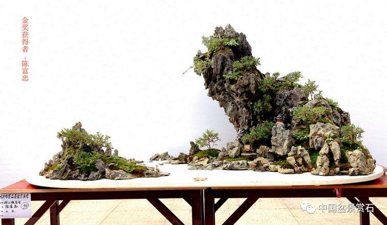 如何让山水盆景走出窘境 且听他怎么说