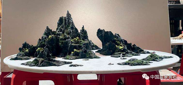 如何让山水盆景走出窘境 且听他怎么说