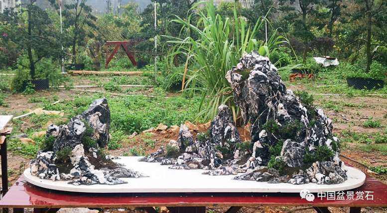 山水盆景走出困境的5个对策 图片