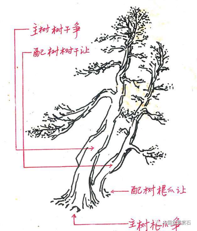 图解 丛林盆景造型中的艺术辩证
