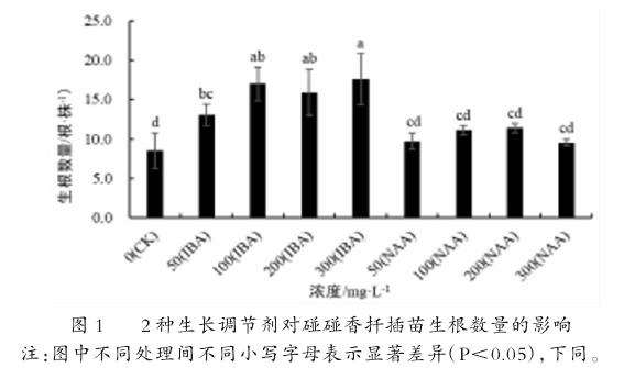 2种植物生长调节剂对碰碰香扦插生根的影响