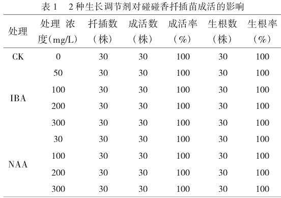 2种植物生长调节剂对碰碰香扦插生根的影响