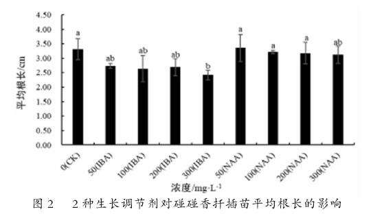 2种植物生长调节剂对碰碰香扦插生根的影响