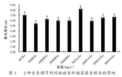 2种植物生长调节剂对碰碰香扦插生根的影响