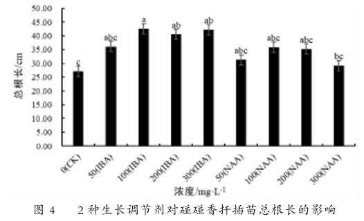 2种植物生长调节剂对碰碰香扦插生根的影响