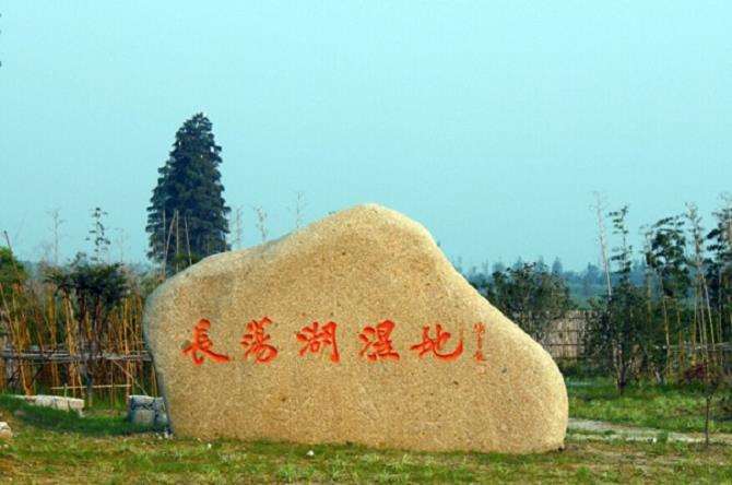 常州市金坛湿地怎么保护的4个相关对策