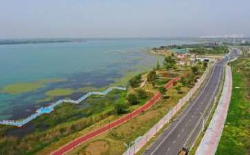 常州市金坛湿地怎么保护的4个相关对策