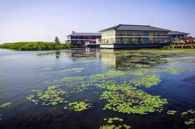 常州金坛湿地生态保护与管理存在的3个问题