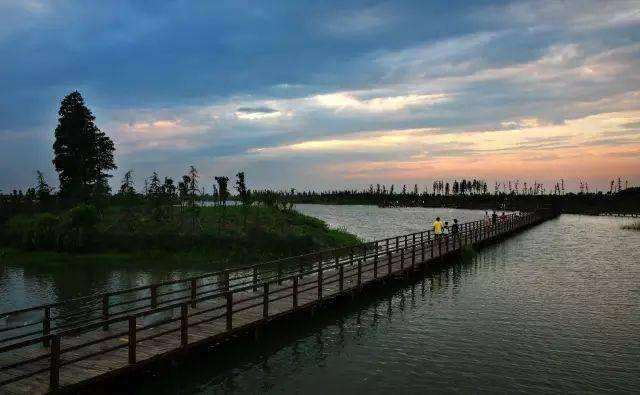 常州金坛湿地生态保护与管理存在的3个问题