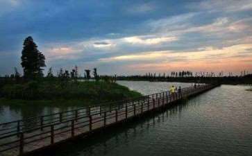 常州金坛湿地生态保护与管理存在的3个问题