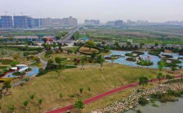 常州金坛湿地保护与修复的3个成效