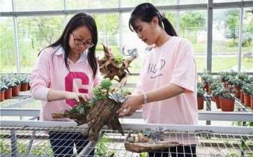 高职园艺专业线上线下混合式教学的4个实施过程