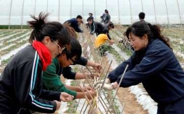 高职园艺技术专业线上线下的3个混合式教学环境