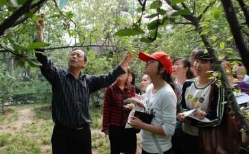 高职园艺线上线下混合式教学的4个优势