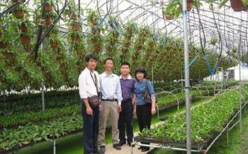 高职园艺技术专业传统教学模式存在的3个问题