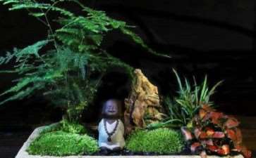 微景观行业现存三大问题：设计雷同化、产品质量参差与售后养护难题