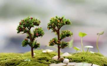 2022年 微景观市场的5个大众调研报告