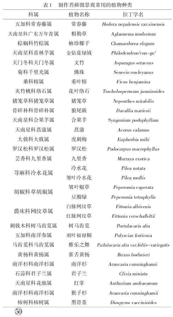 苔藓微景观的4个构成要素