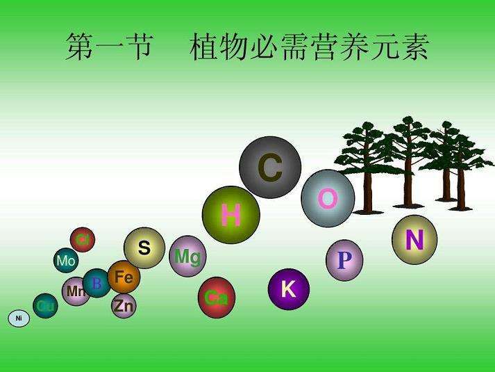 植物营养与肥料学PBL和JiTT教学模式的特点