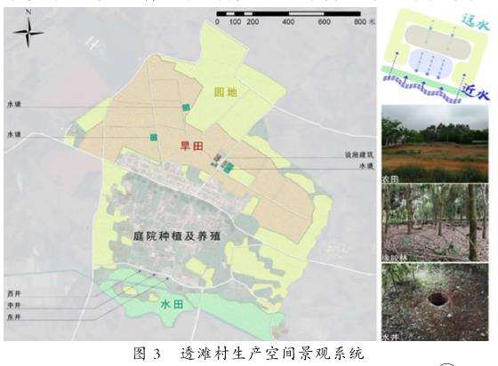 透滩村生产景观（田园作物、农用设施）的地域性特征分析