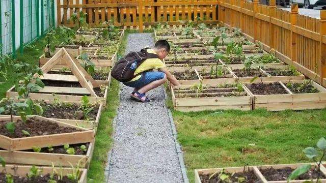 教育农园景观设计的3个策略建议