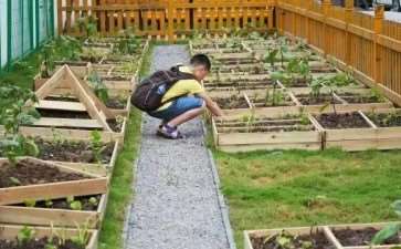 教育农园景观设计的3个策略建议
